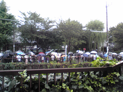 お寺の前に傘の列。小降りになってよかったね。