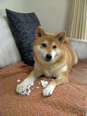 終わりましたけど