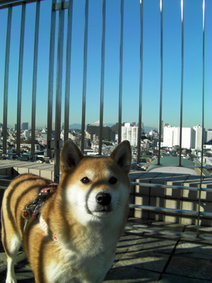 ちょうどマズルのところに影が！！