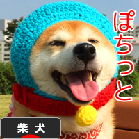 にほんブログ村 犬ブログ 柴犬へ